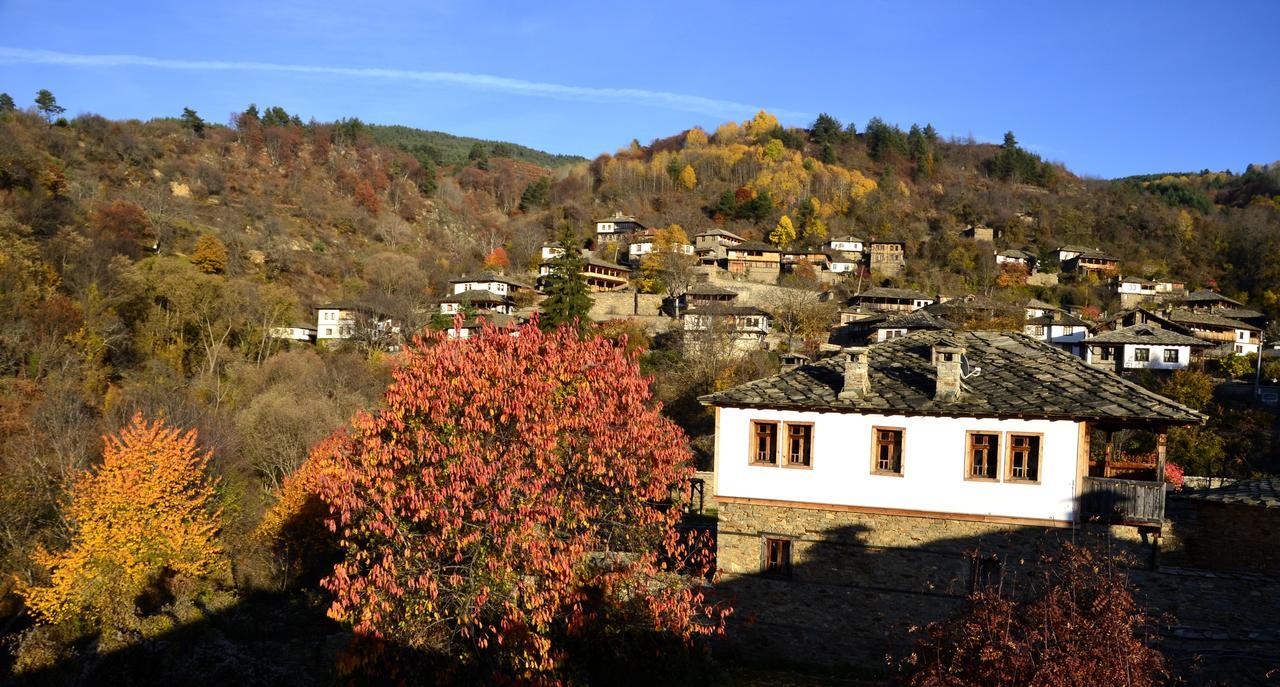Kalinia Guesthouse B&B Kovacevica Exterior photo